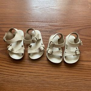 Size 2 and 3 sea wees